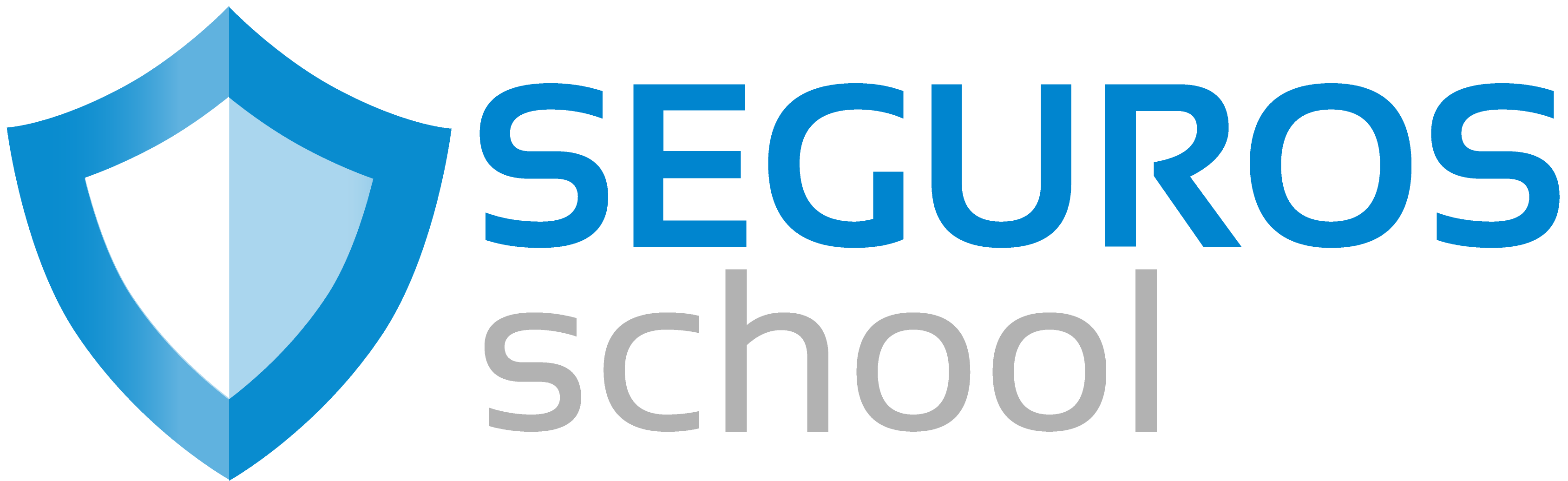 Campus Seguros School